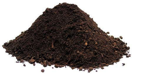 Compost Manure
